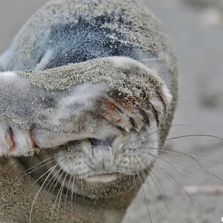 Gluecklich Am 1 Mit Wellnesszugang