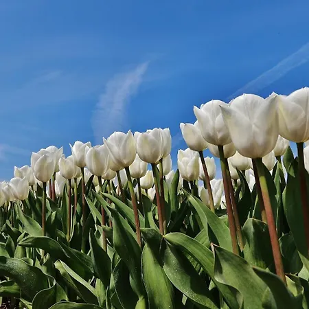 Gluecklich Am 1 Mit Wellnesszugang *