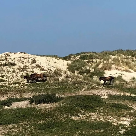 Nyaraló Gluecklich Am 1 Mit Wellnesszugang *