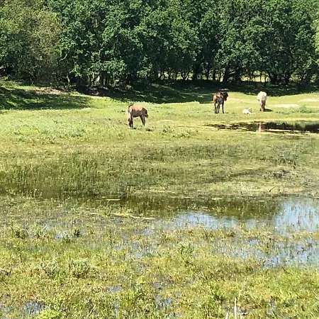 Gluecklich Am 1 Mit Wellnesszugang Hébergement de vacances Egmond aan Zee