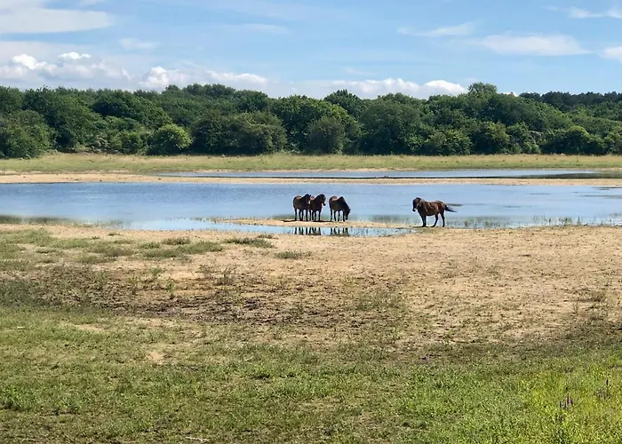 Gluecklich Am 1 Mit Wellnesszugang * אגמונד אן זי