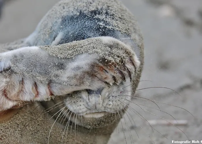 Gluecklich Am 1 Mit Wellnesszugang
