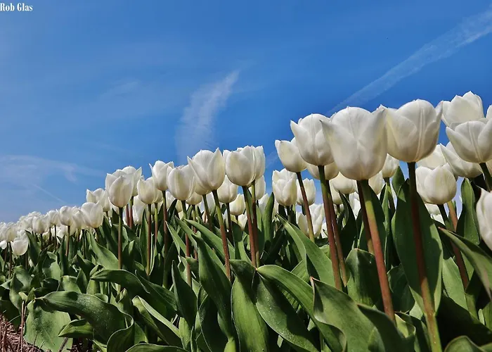 Gluecklich Am 1 Mit Wellnesszugang *