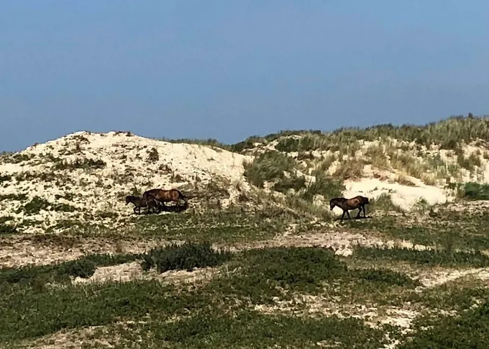 Hébergement de vacances Gluecklich Am 1 Mit Wellnesszugang *