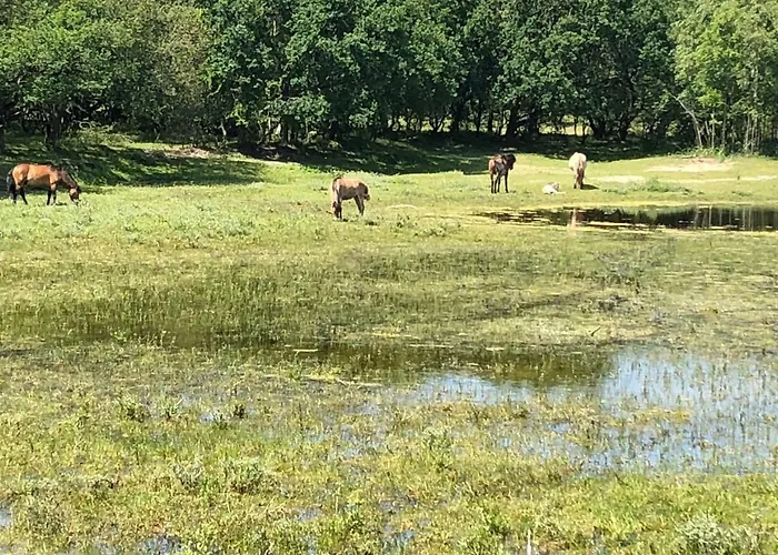 Gluecklich Am 1 Mit Wellnesszugang בית נופש אגמונד אן זי