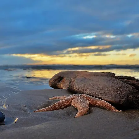 Glücklich Am 1 Mit Wellnesszugang * Egmond aan Zee
