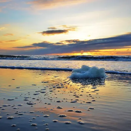 Ferienhaus Glücklich Am 1 Mit Wellnesszugang *